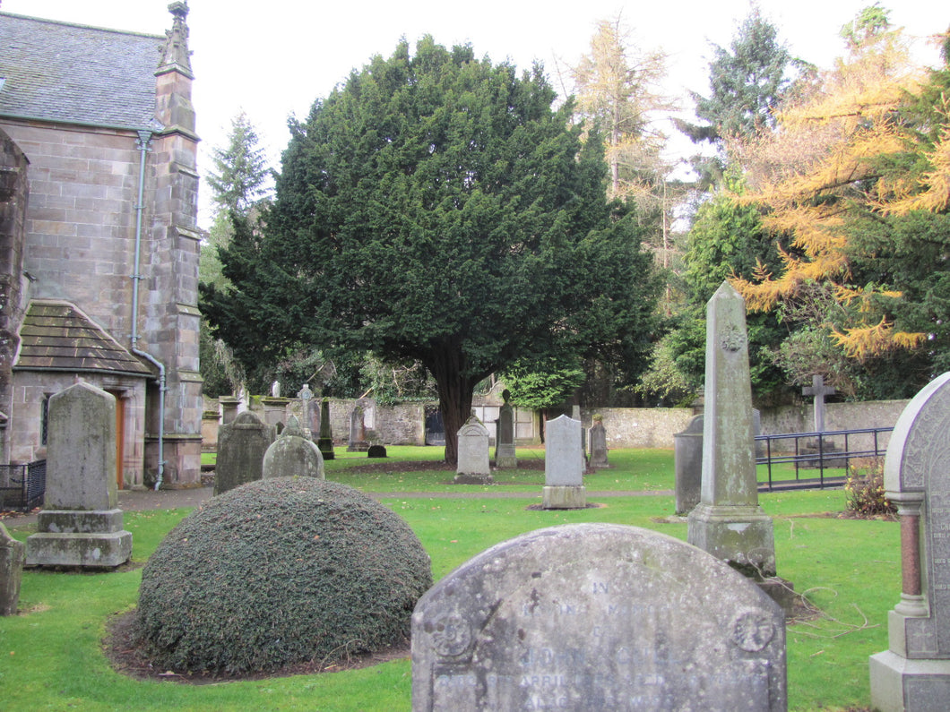 Kirk of Calder Churchyard - West Lothian PDF