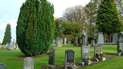 Mid Calder Cemetery - West Lothian PDF